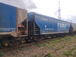 RUMO HTT-350453-1
